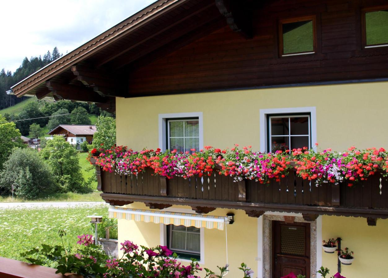 Appartement Gleiminger Форстау Екстериор снимка